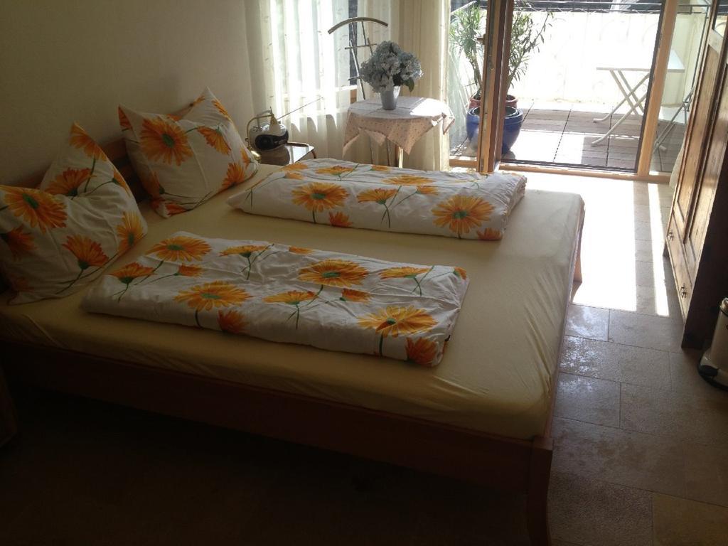 Apartments Blaschegg Im Zentrum 阿尔特穆斯特 客房 照片